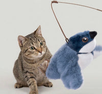 Pets