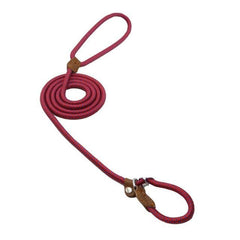 Nylon Pup/Dog Set