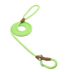 Nylon Pup/Dog Set