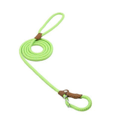 Nylon Pup/Dog Set