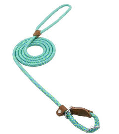 Nylon Pup/Dog Set