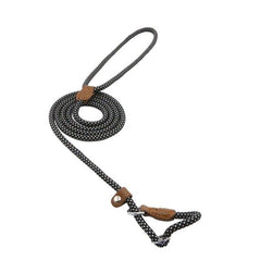 Nylon Pup/Dog Set