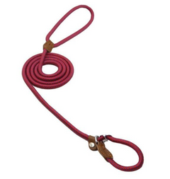 Nylon Pup/Dog Set