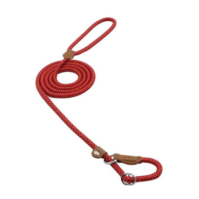 Nylon Pup/Dog Set