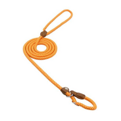 Nylon Pup/Dog Set